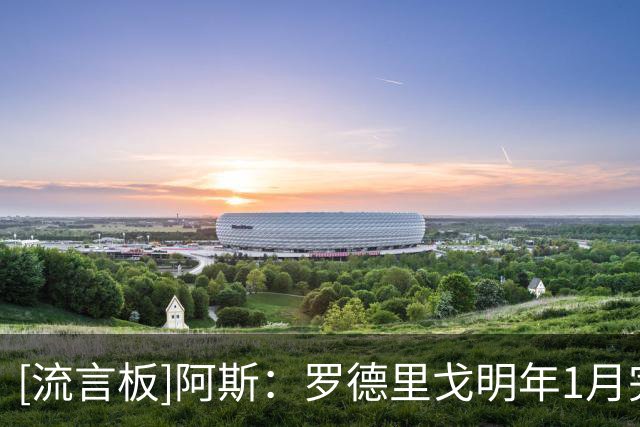[流言板]阿斯：罗德里戈明年1月完全康复，复出面临皇马右路激烈竞争